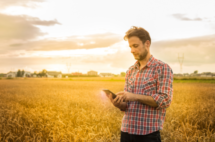 Foto von Mann mit Mobilgerät im Kornfeld