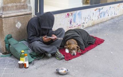 Foto von obdachloser Person mit Hund, auf der Straße sitzend.