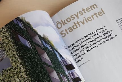 Foto des Artikels "Ökosystem Stadtviertel"