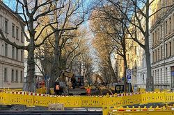 Baumschutzmaßnahmen bei Baustelle in der Stadt