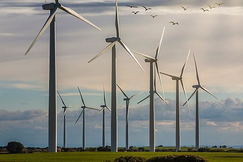 Vögel überfliegen Windkraftanlagen 