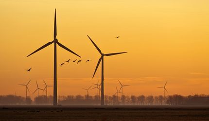 Windenergie Artenschutz Naturschutz