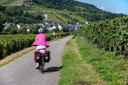 Moselradweg in den Weinbergen