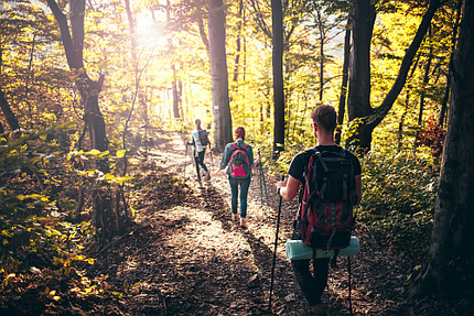 Menschen wandern im Wald