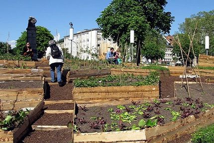 Urban Gardening vor dem Theater in Freiburg