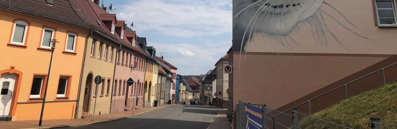 Kleinstädtischer Straßenzug mit bunten Reihenhäusern und großformatigem Katzen-Wandgemälde an Hausgiebel