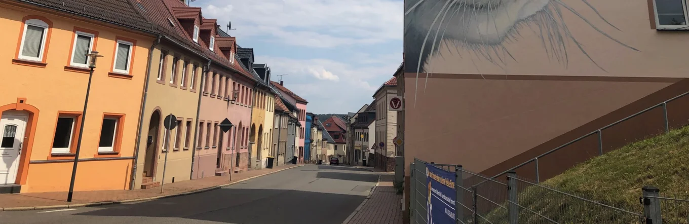 Kleinstädtischer Straßenzug mit bunten Reihenhäusern und großformatigem Katzen-Wandgemälde an Hausgiebel