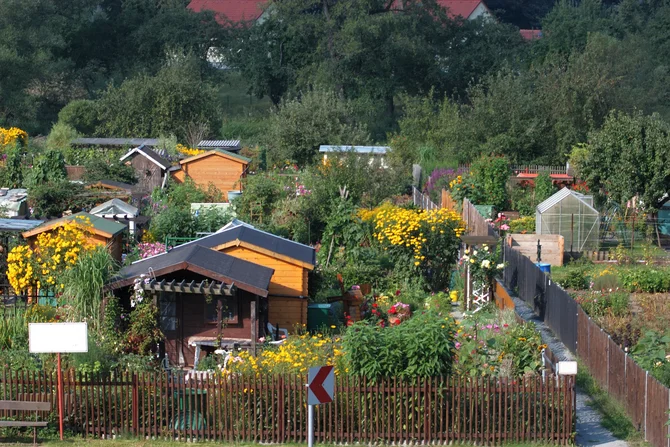Kleingartenanlage im Grünen Eine Kleingartenanlage mit Parzellen, Gartenhäuschen und gepflegten Grünflächen als Beispiel für städtisches Gärtnern.