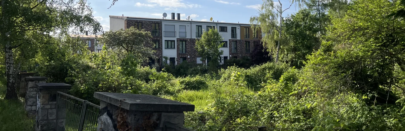 Verwilderter Grünstreifen mit Zaun vor Wohngebäude in städtischer Nachbarschaft