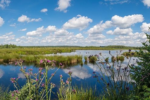 Schleswig-Holstein: Blick über das Himmelmoor auf eine wiederbewässerte ehemalige Torf-Abbaufläche.